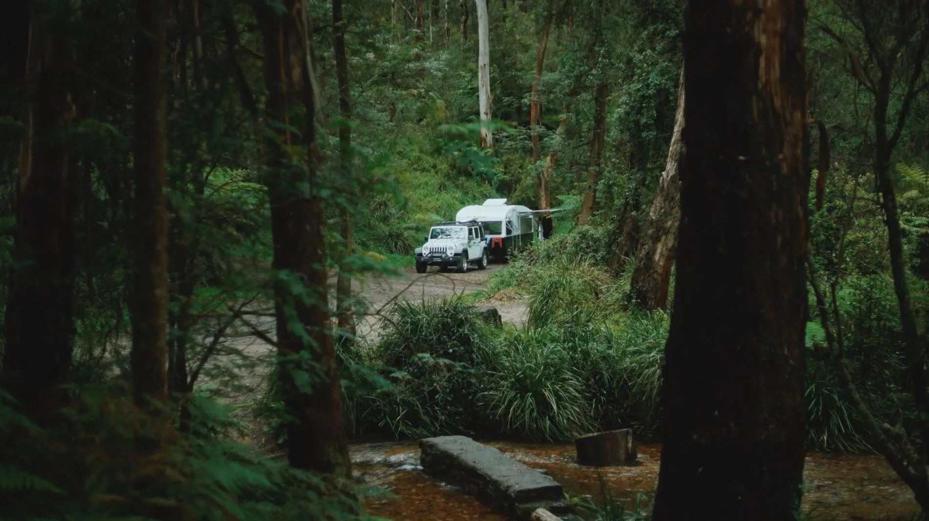 Blackheath Glen Reserve
