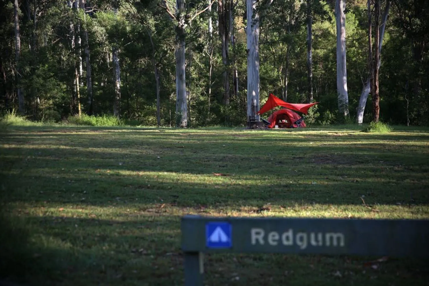 Camping in the Blue Mountains