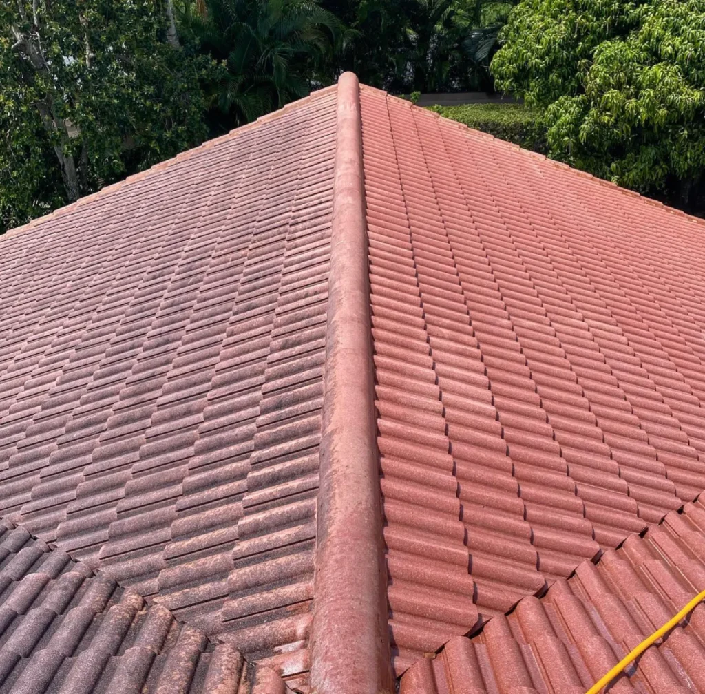 Deformed Roof Structure