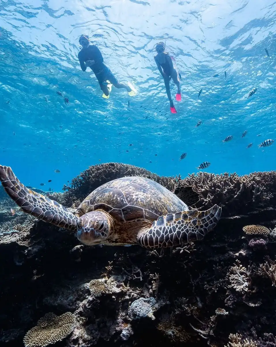 Get Your Snorkel Gear Sorted Once and For All