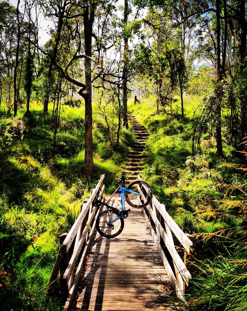 Mountain Biking, Blue Mountains