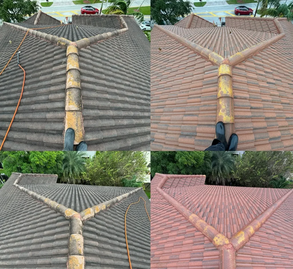 Professional Roof Cleaning Service