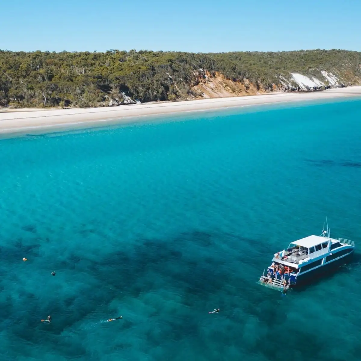 Remote K’gari and Whale Experience Tour
