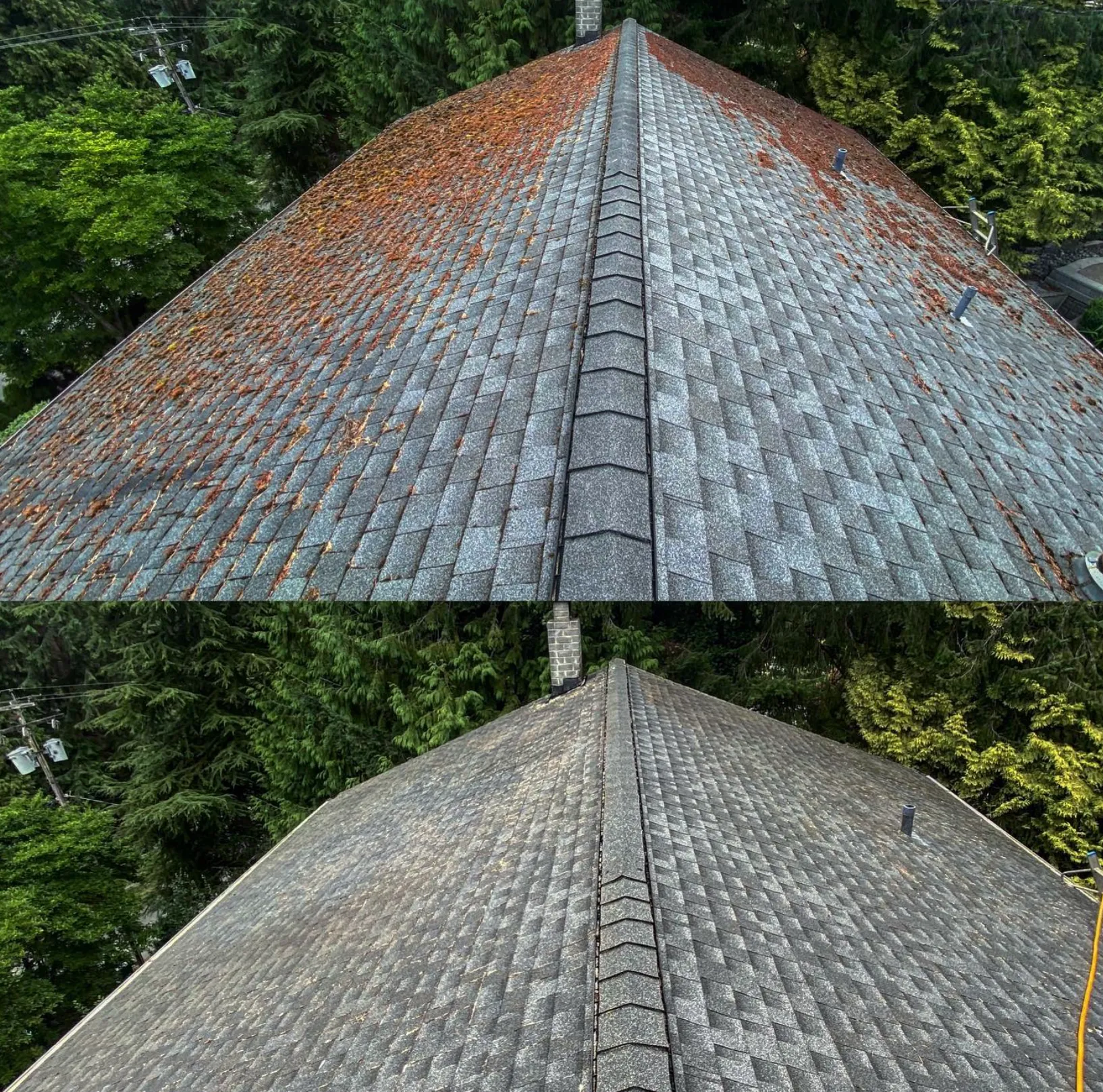 Your Roof Needs Professional Cleaning