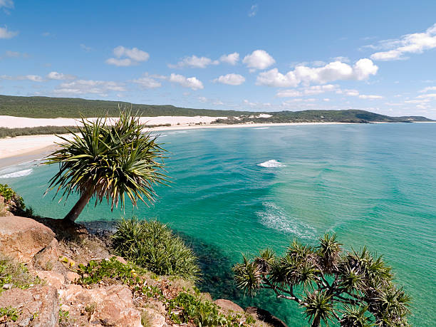 How expensive is a trip to Fraser Island?