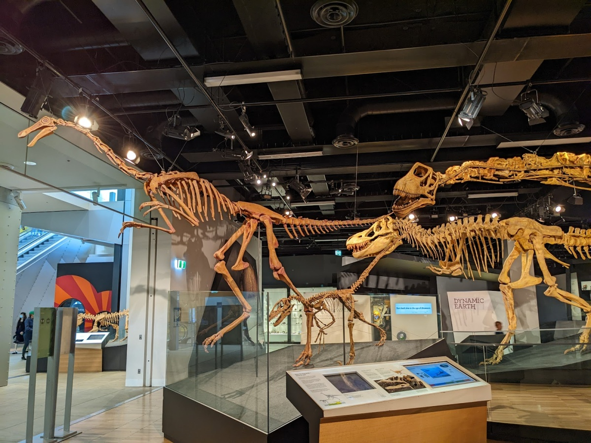 AVMO Negoce | Exploring the Melbourne Museum: Time Planning Guide for Visitors